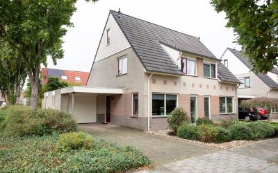 Schering 65
