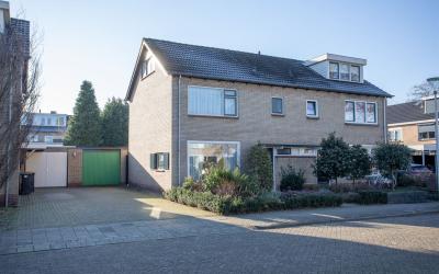 Hortensiast. 4
