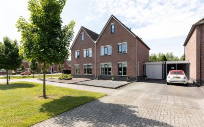 Scholekster 63