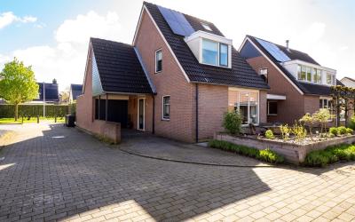 G.B. Stegem. 6