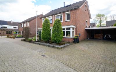G.B. Stegem. 7