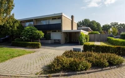De Wulp 81