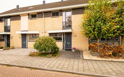 Hoogland 20