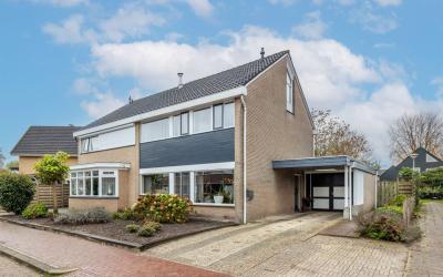De Elzen 3