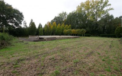Wittenbrink 22