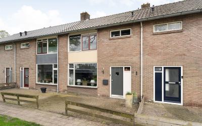 Hortensiast. 33