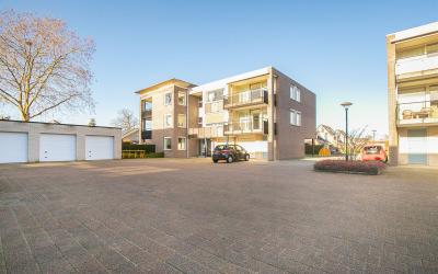 Hondsroos 26