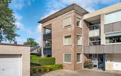 Hondsroos 28
