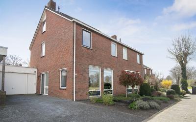 De Roerdomp 50