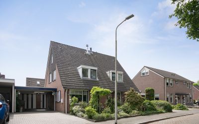 De Rietgans 7