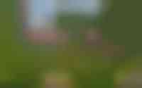 De Omloop 8