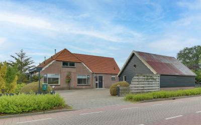 Goudenregen. 1