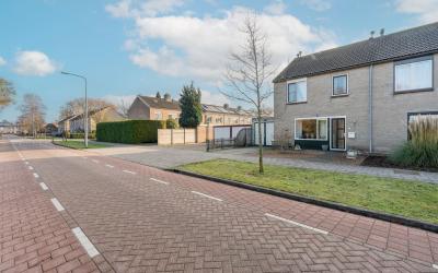 Goudenregen. 29