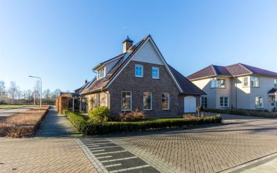 Wiedenland 1