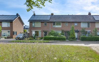 Ruigedoorns. 8