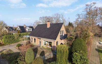 Gentiaan 12