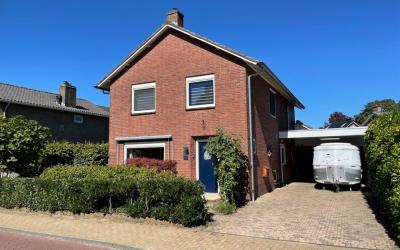 Lodderholt 5