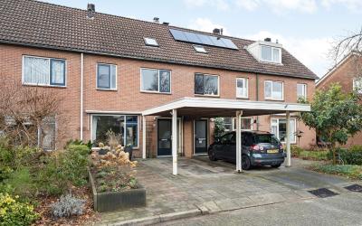 Scholekster 22