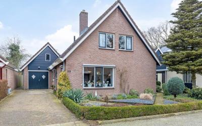 Roodborst 73