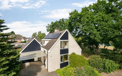 Roodborst 75