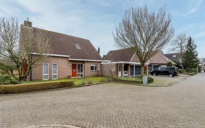 Roerdomp 2