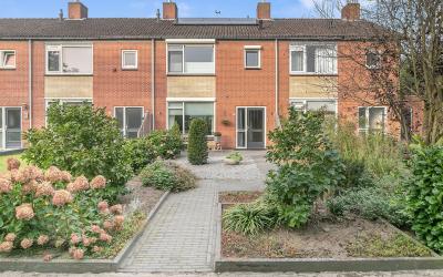 Dotterbloem. 5