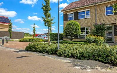 Willem Mant. 25
