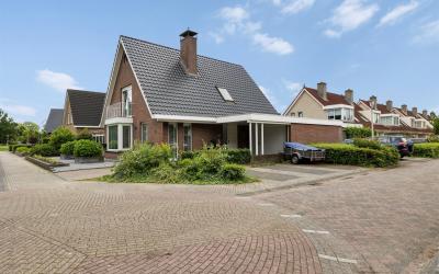 Buxus 5