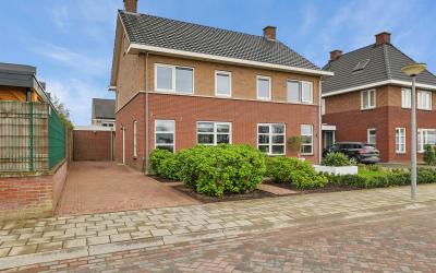 Steenanjer 1
