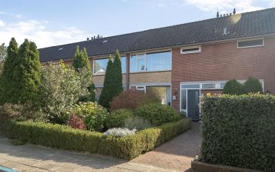 Meeuwenstra. 8