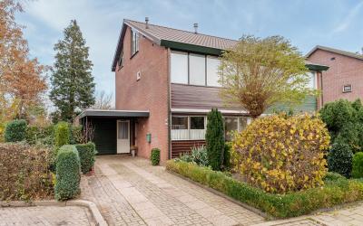 Nachtegaals. 31