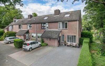 Singelberg 53