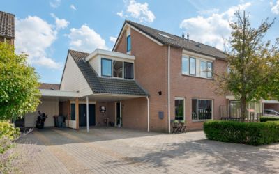 Ganzebloem 16