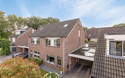 Ganzebloem 18