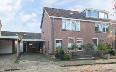 Ganzebloem 36