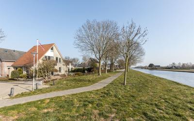 Hoornblad 4