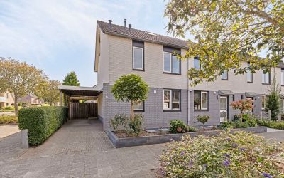 Boterbloem 40