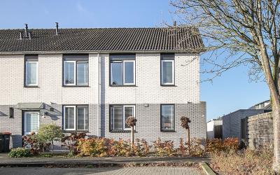 Boterbloem 42