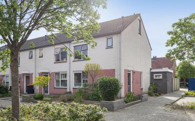 Boterbloem 124