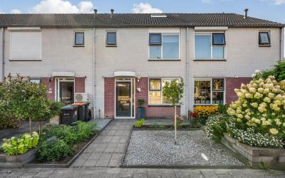 Boterbloem 126