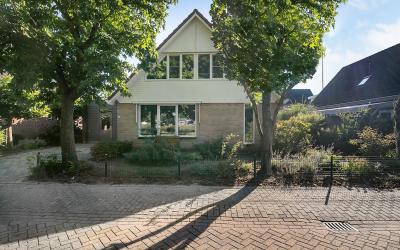 Madeliefje 13