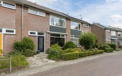 Goudenregen. 29