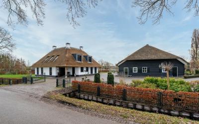 Rheezerveen. 12