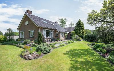 Collendoorn. 5
