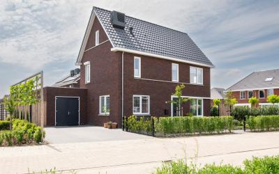Guldenroede. 14