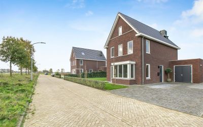 Guldenroede. 24