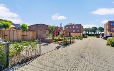 Hondsrooswal 20