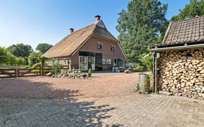 Emmerhoutstraat 55