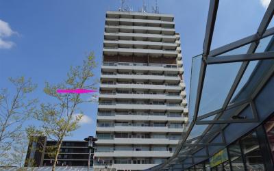 Houtweg 242