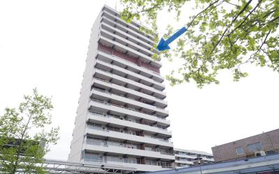 Houtweg 265